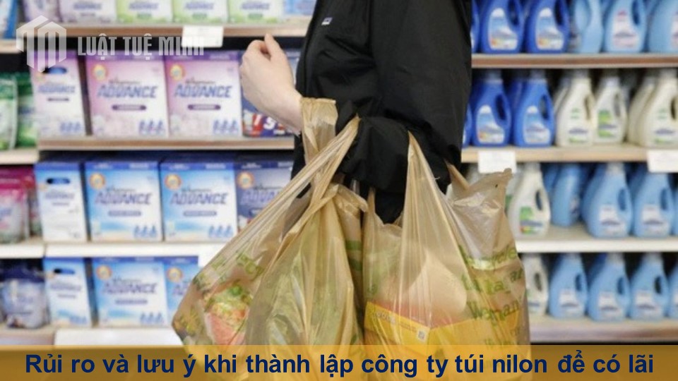 Rủi ro và lưu ý khi thành lập công ty túi nilon để có lãi