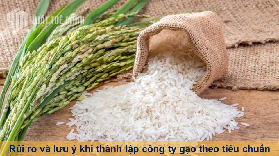 Rủi ro và lưu ý khi thành lập công ty gạo theo tiêu chuẩn hiện nay