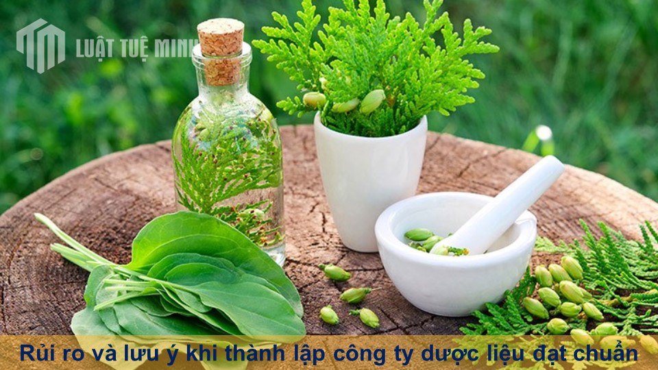 Rủi ro và lưu ý khi thành lập công ty dược liệu đạt chuẩn