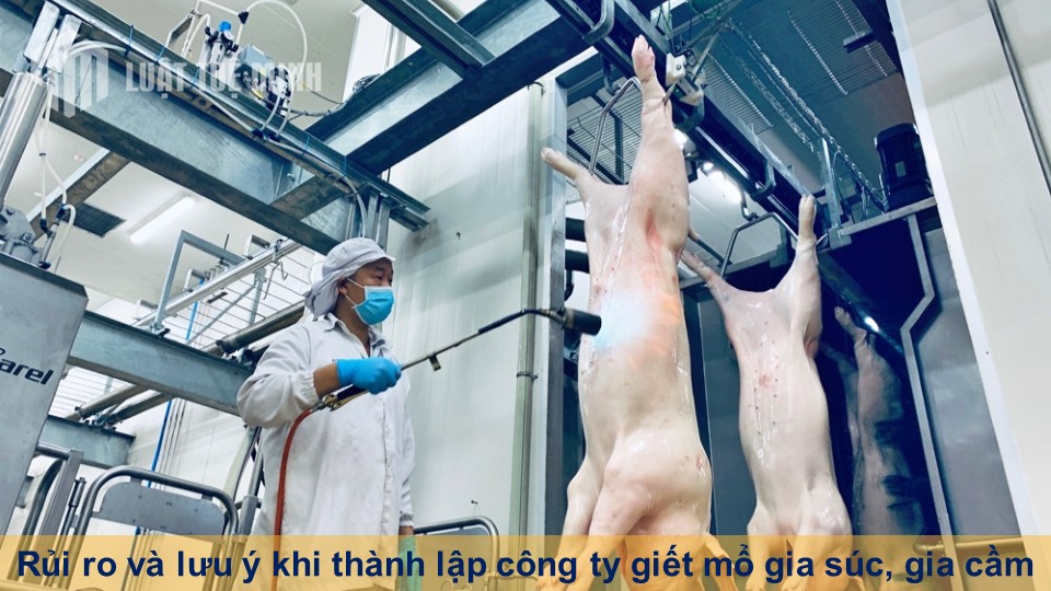 Rủi ro và lưu ý khi thành lập công ty giết mổ gia súc, gia cầm