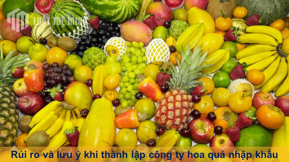 Rủi ro và lưu ý khi thành lập công ty hoa quả nhập khẩu