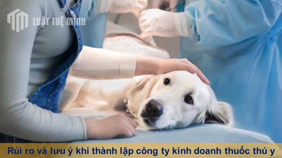 Rủi ro và lưu ý khi thành lập công ty kinh doanh thuốc thú y