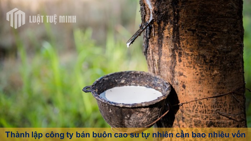 Thành lập công ty bán buôn cao su tự nhiên cần bao nhiêu vốn