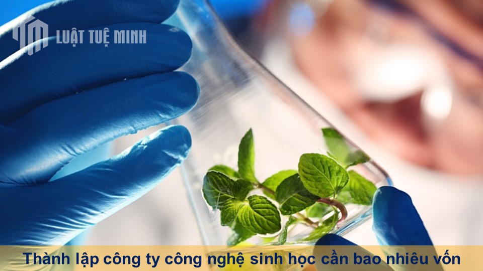 Thành lập công ty công nghệ sinh học cần bao nhiêu vốn phải đáp ứng