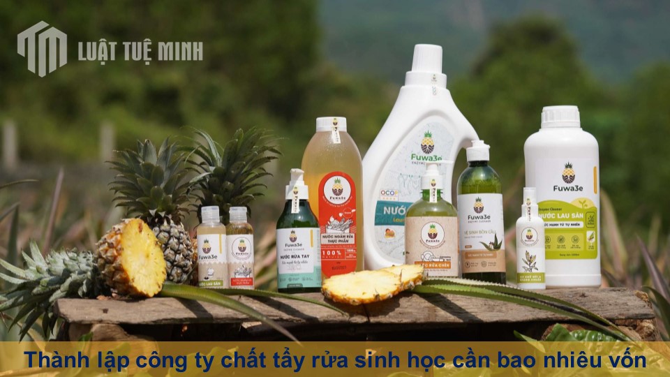 Thành lập công ty chất tẩy rửa sinh học cần bao nhiêu vốn theo Luật