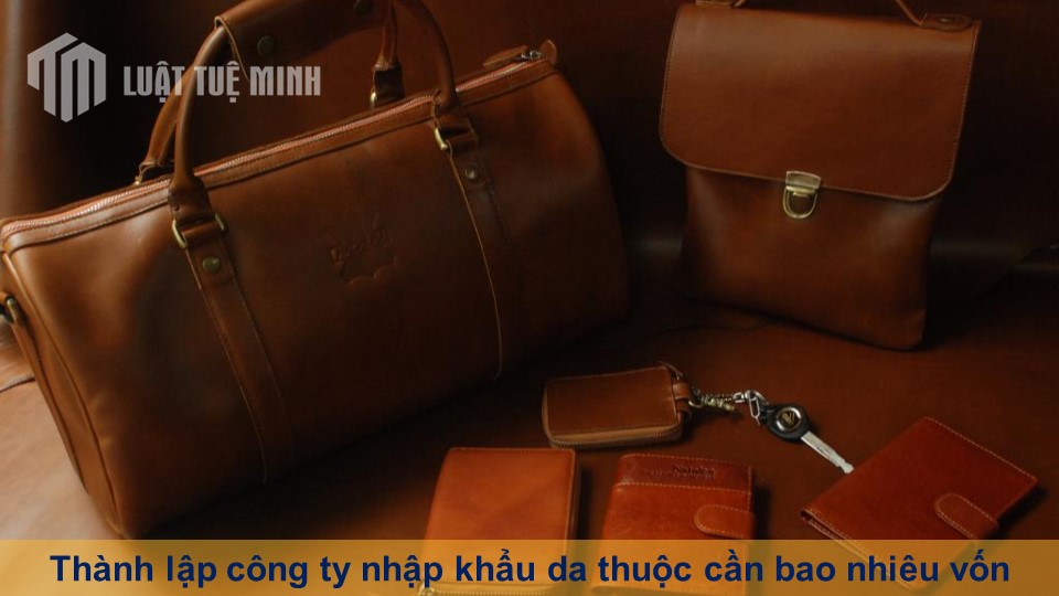 Thành lập công ty nhập khẩu da thuộc cần bao nhiêu vốn