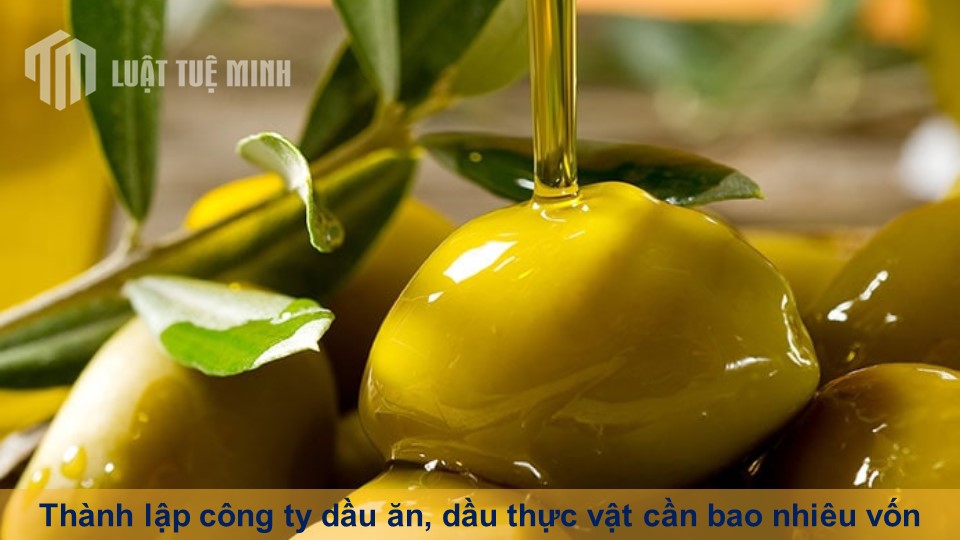 Thành lập công ty dầu ăn, dầu thực vật cần bao nhiêu vốn bạn phải biết