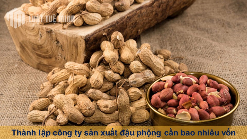 Thành lập công ty sản xuất đậu phộng cần bao nhiêu vốn