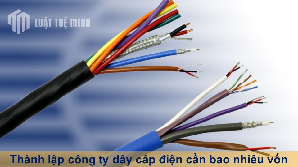 Thành lập công ty dây cáp điện cần bao nhiêu vốn