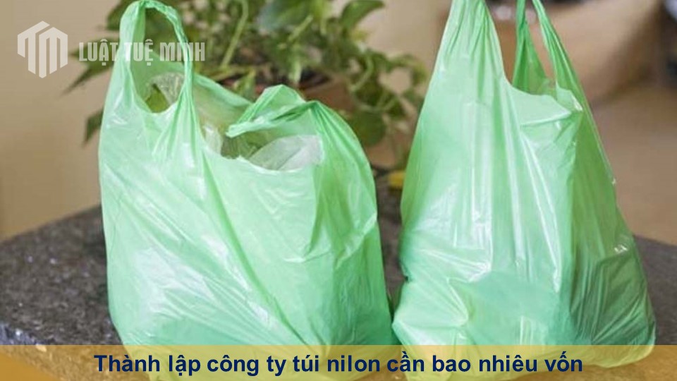 Thành lập công ty túi nilon cần bao nhiêu vốn giúp tối ưu chi phí