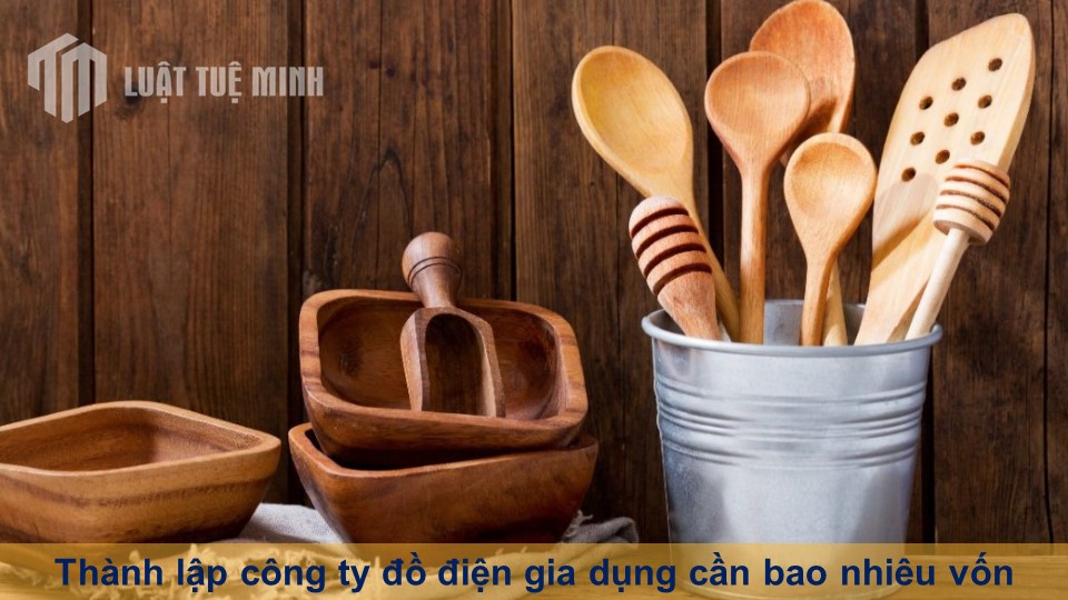 Thành lập công ty đồ điện gia dụng cần bao nhiêu vốn?