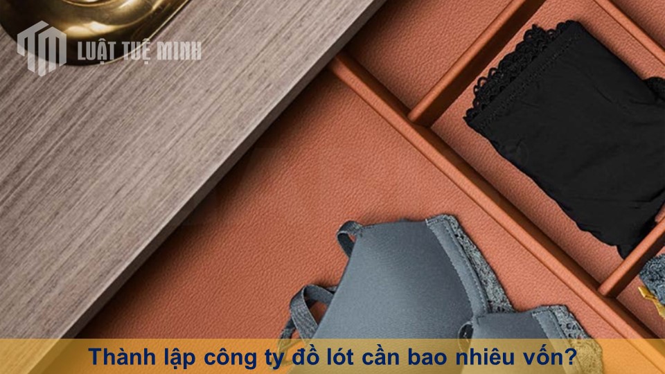 Thành lập công ty đồ lót cần bao nhiêu vốn? Có phát sinh thêm chi phí?