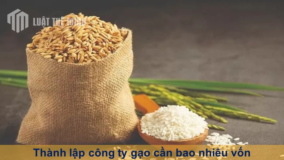 Thành lập công ty gạo cần bao nhiêu vốn? Bí kíp kinh doanh tối ưu