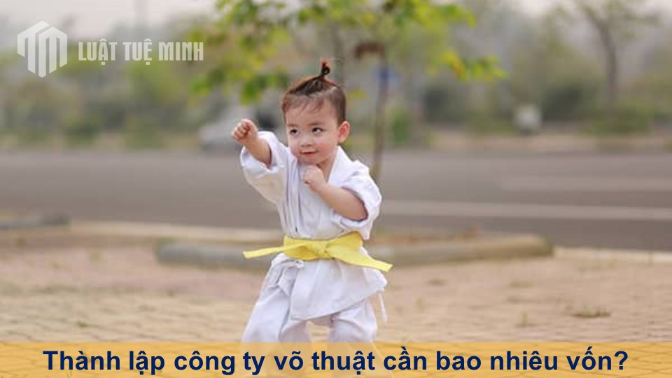 Thành lập công ty võ thuật cần bao nhiêu vốn? Hướng dẫn chi tiết