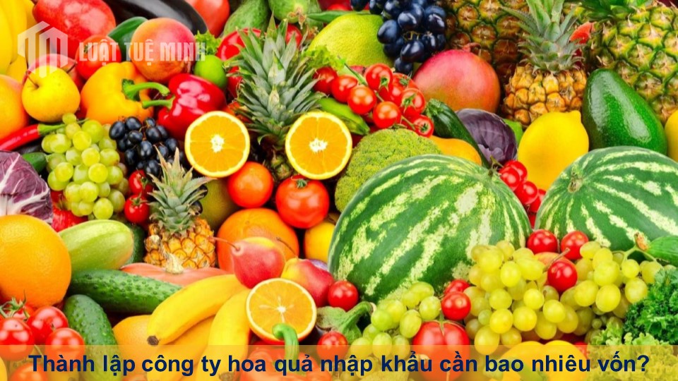 Thành lập công ty hoa quả nhập khẩu cần bao nhiêu vốn?