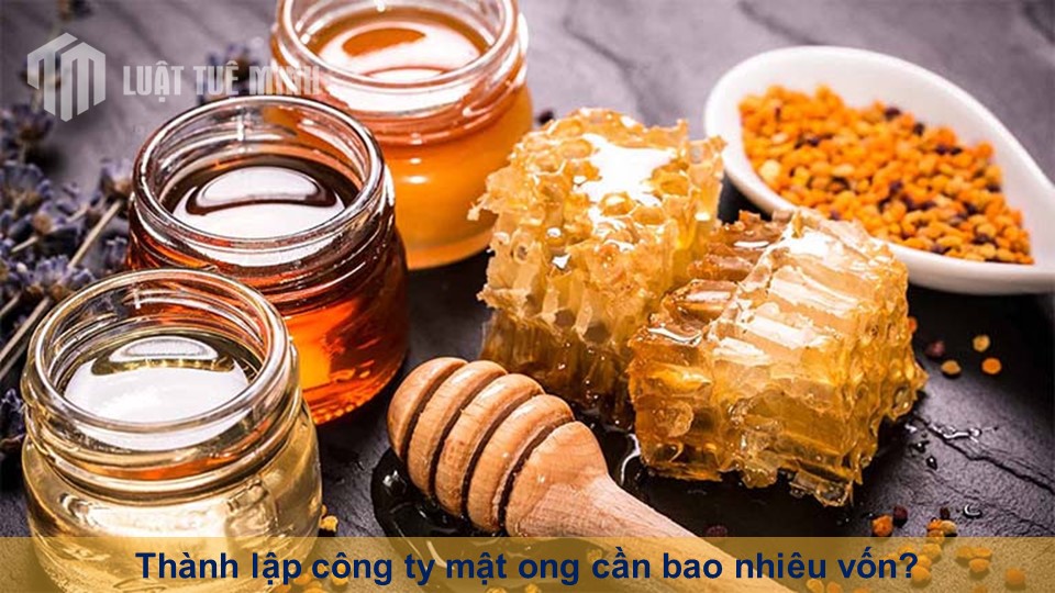 Thành lập công ty mật ong cần bao nhiêu vốn? Tư vấn pháp Luật