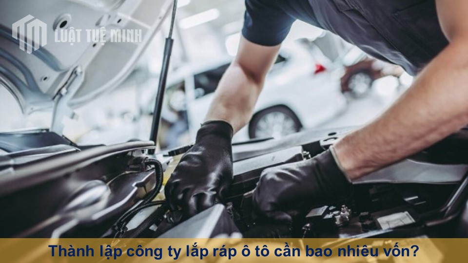 Thành lập công ty lắp ráp ô tô cần bao nhiêu vốn? Thông tin hữu ích