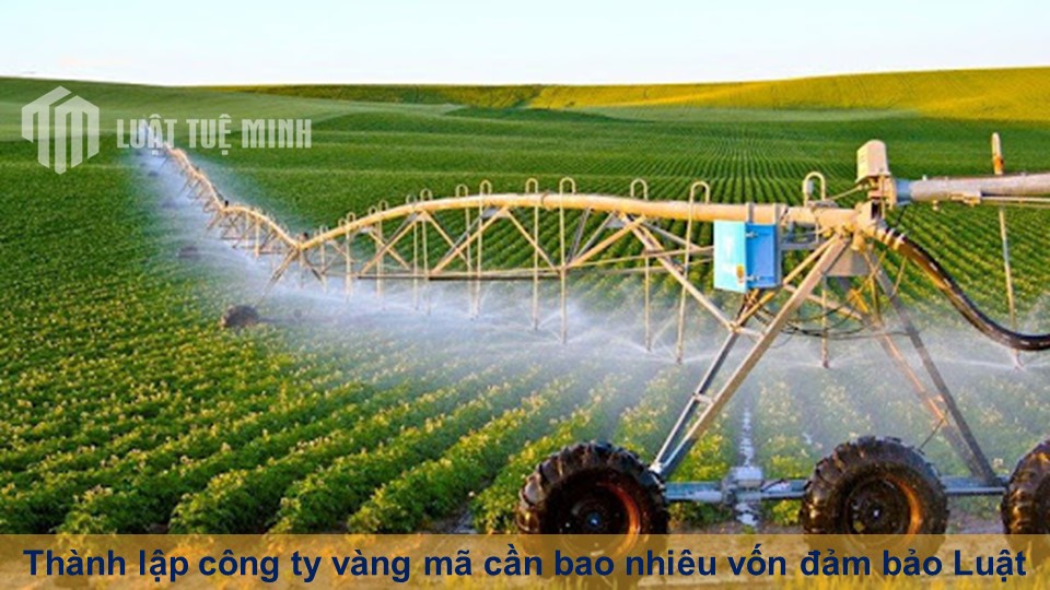 Thành lập công ty vật tư nông nghiệp cần bao nhiêu vốn?