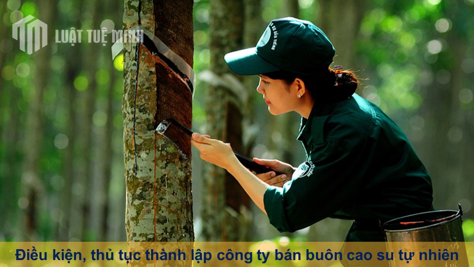 Điều kiện, thủ tục thành lập công ty bán buôn cao su tự nhiên