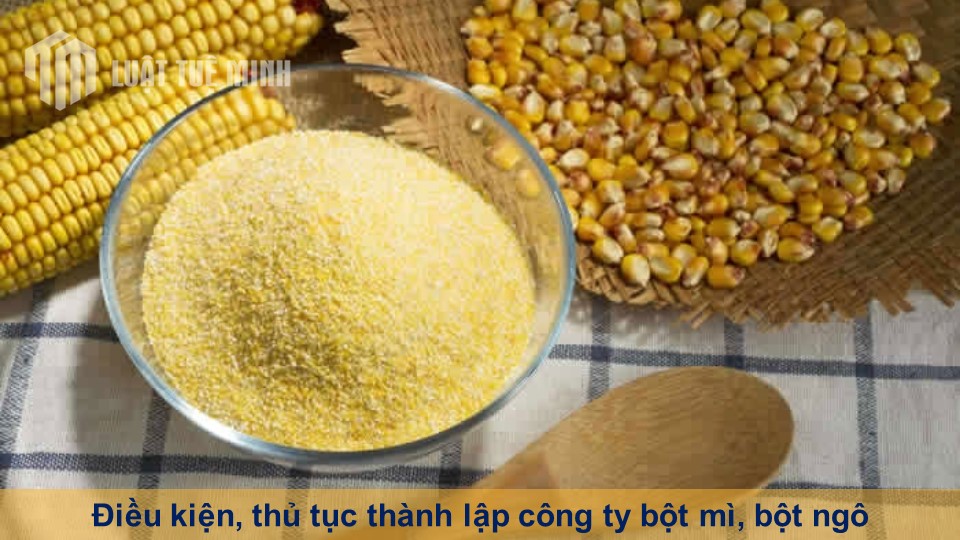 Điều kiện, thủ tục thành lập công ty bột mì, bột ngô theo quy định