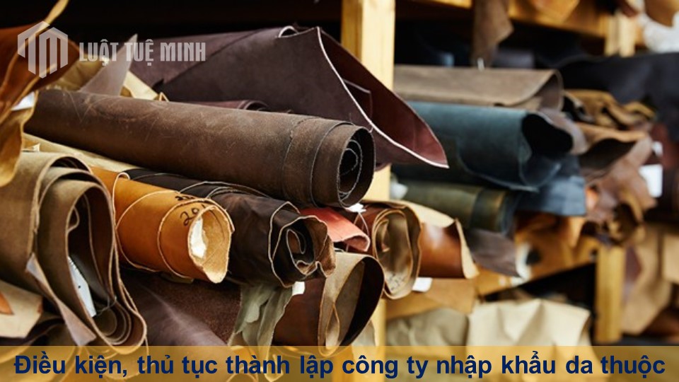 Điều kiện, thủ tục thành lập công ty nhập khẩu da thuộc