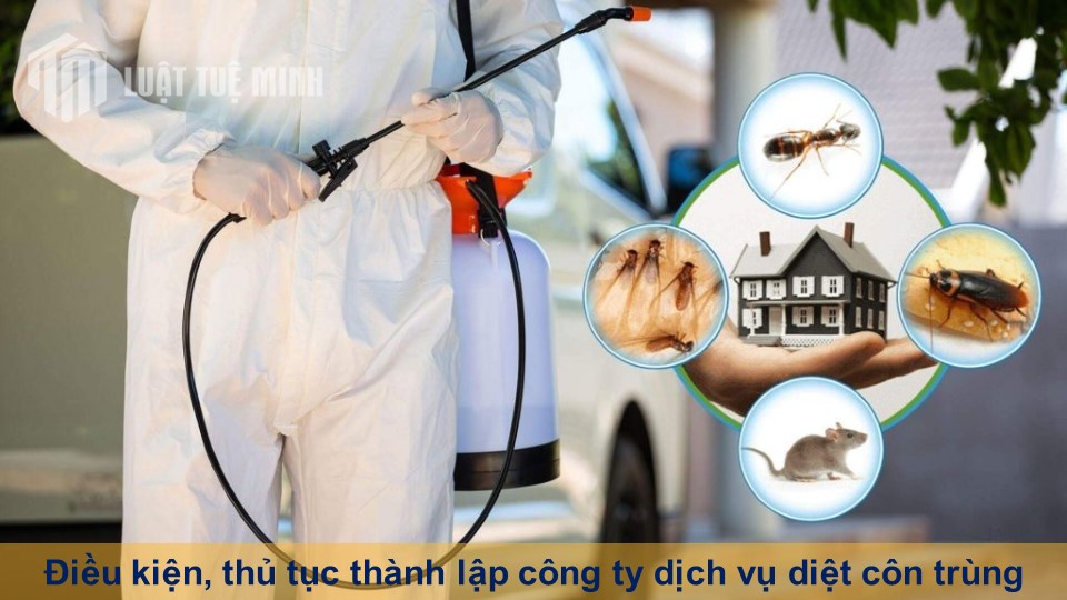 Điều kiện, thủ tục thành lập công ty dịch vụ diệt côn trùng