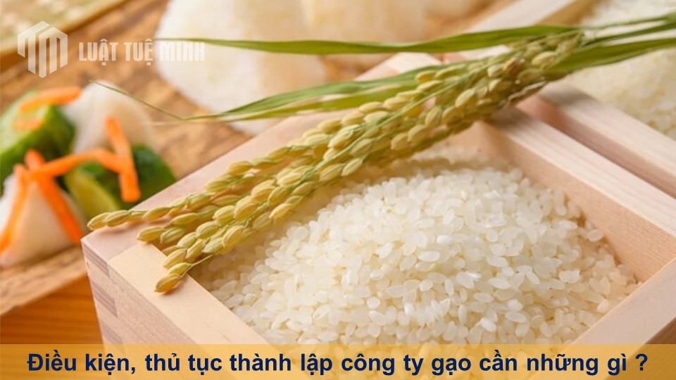 Điều kiện, thủ tục thành lập công ty gạo cần những gì ?