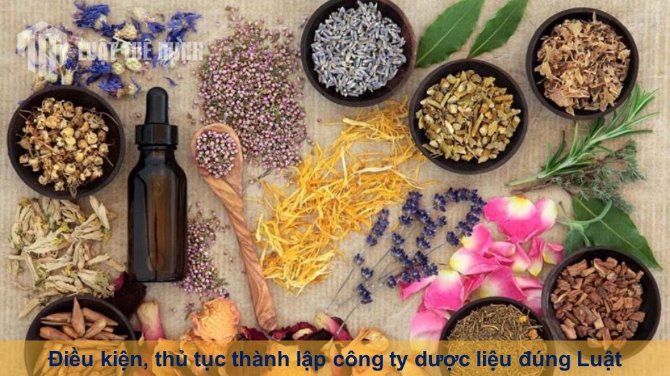 Điều kiện, thủ tục thành lập công ty dược liệu đúng Luật