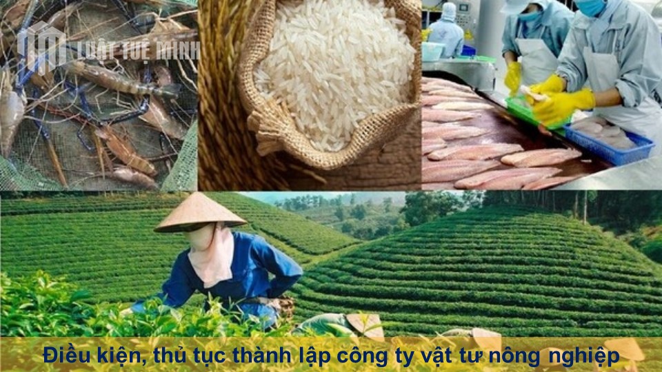 Điều kiện, thủ tục thành lập công ty vật tư nông nghiệp theo Luật