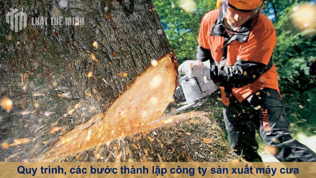 Quy trình, các bước thành lập công ty sản xuất máy cưa đầy đủ