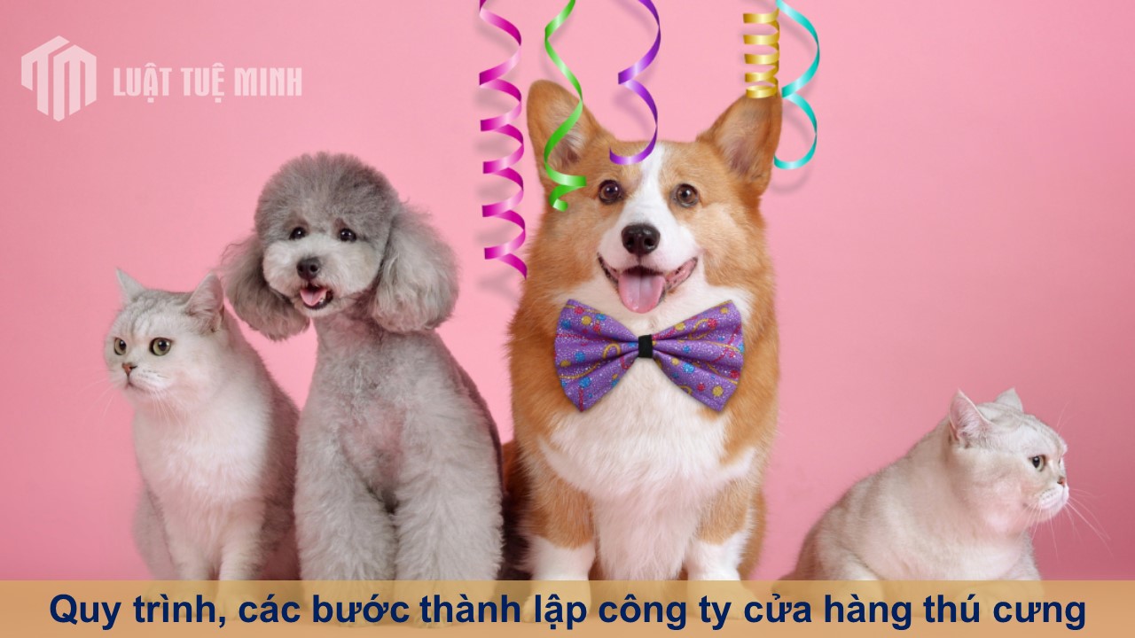 Quy trình, các bước thành lập công ty cửa hàng thú cưng mới nhất